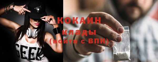 крисы Верея