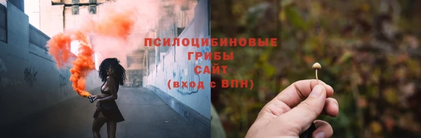 крисы Верея
