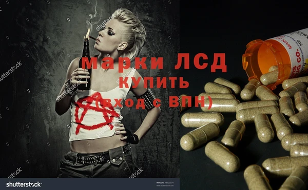 крисы Верея
