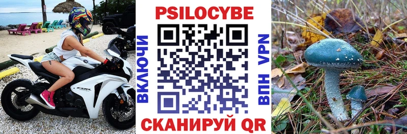 Псилоцибиновые грибы мицелий  где продают   blacksprut ссылки  Кинель 